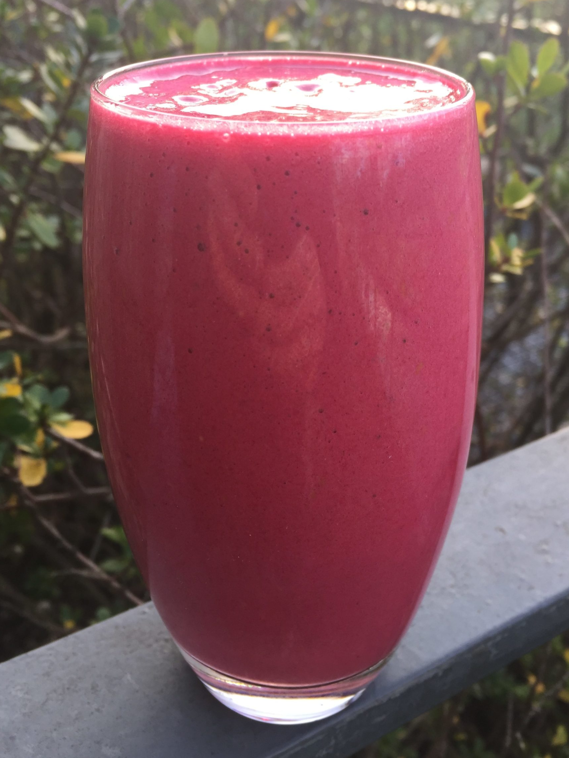 Mixed Berry Recovery Smoothie - daveynutrition