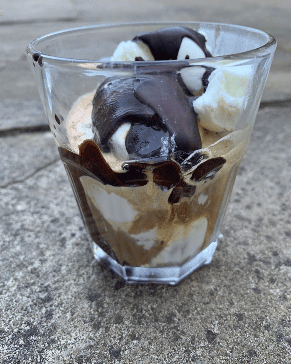 Chocolate Espresso Frozen Yogurt - daveynutrition