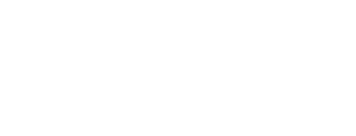 logo white 2