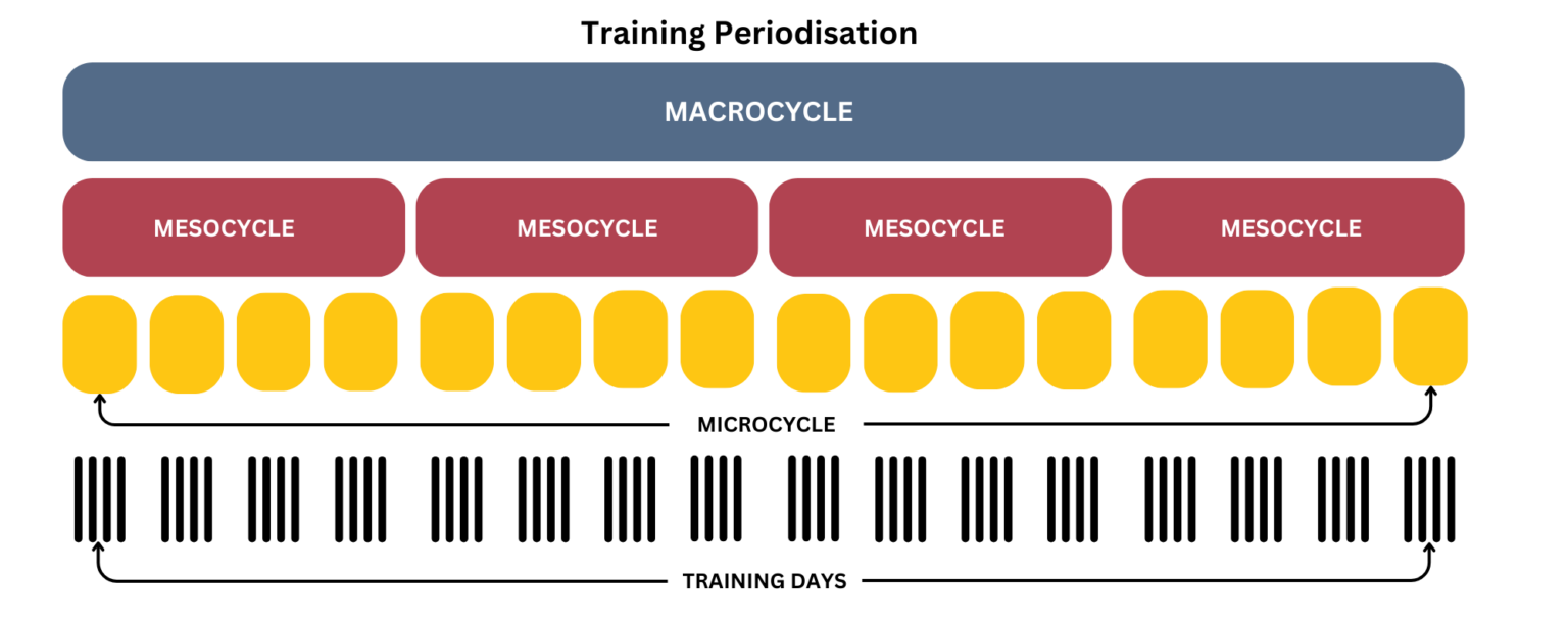 Specificity Exercise Visuals Exercise Specificity, Joined Thinking and Performance - daveynutrition